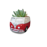 pot feel good (1)
