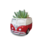 pot feel good (1)