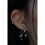 Puce oreille Abysses_2