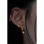 Puce oreille Abysses_5
