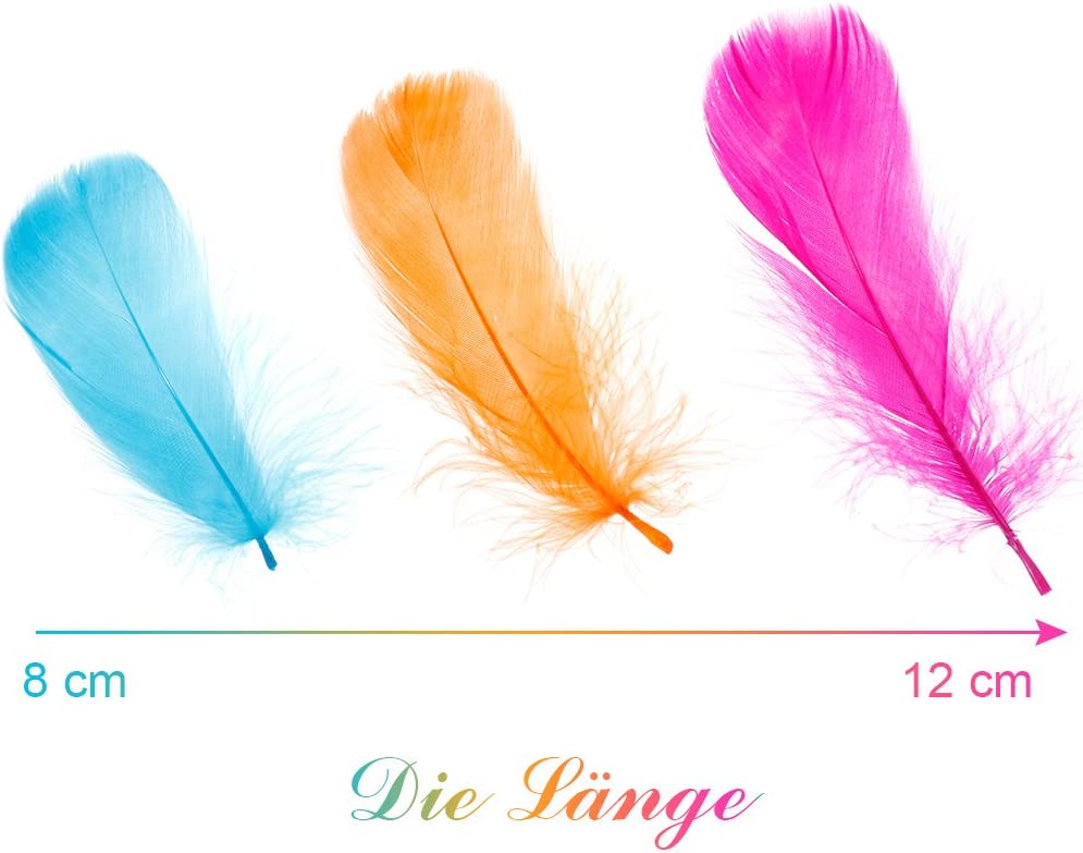 Tailles Lot de 500 plumes colorée naturelles pour la décoration Faburo