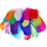 Création avec lot de 500 plumes colorée naturelles pour la décoration Faburo