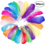 Lot de 500 plumes colorée naturelles pour la décoration Faburo