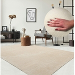 Ambiance Tapis beige 120x170 cm aspect fourrure super doux et à poils courts the carpet