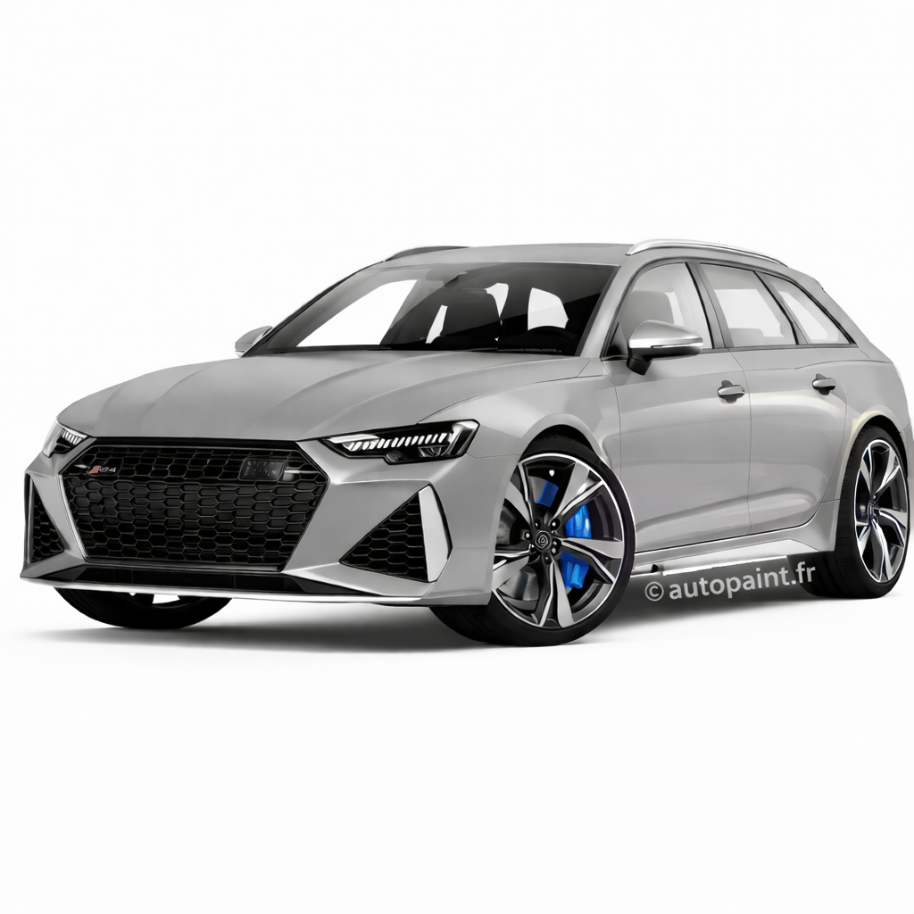 Audi Gris Nardo LY7C (T3)