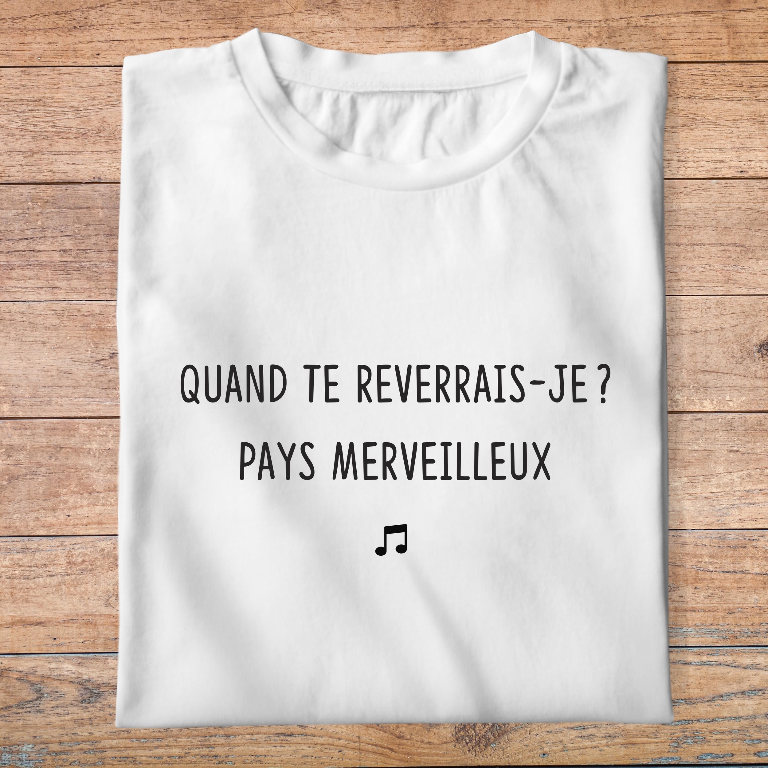 flb2-T-shirt-les bronzés-quand-te-reverrais-je-pays-merveilleux-film-culte-pb