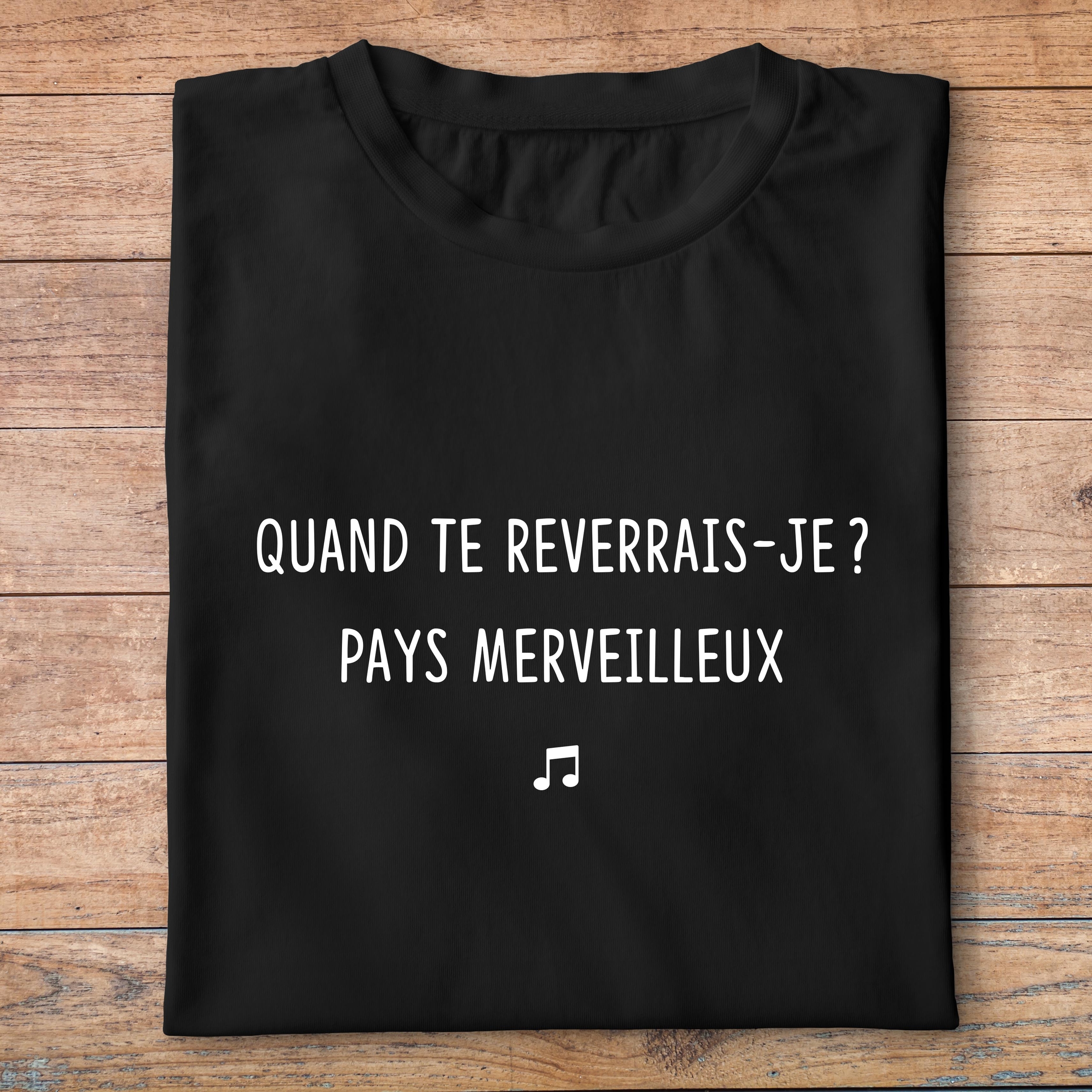 flb2-T-shirt-les bronzés-quand-te-reverrais-je-pays-merveilleux-film-culte-pn