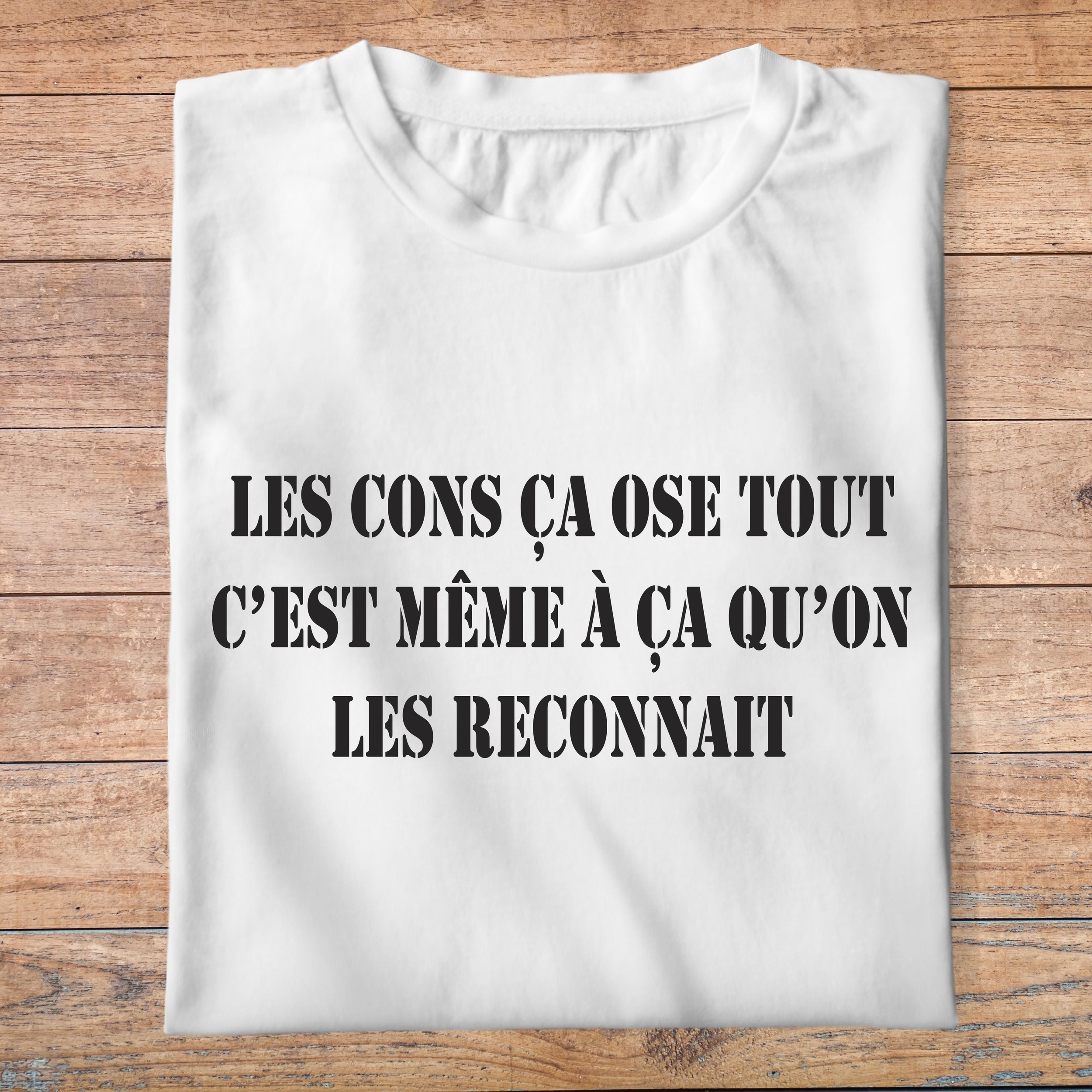 ffsltf3-T-shirt-Les-tontons-flingueurs-les-cons-ca-ose-tout-c-est-meme-a-ca-qu-on-les-reconnait-pb