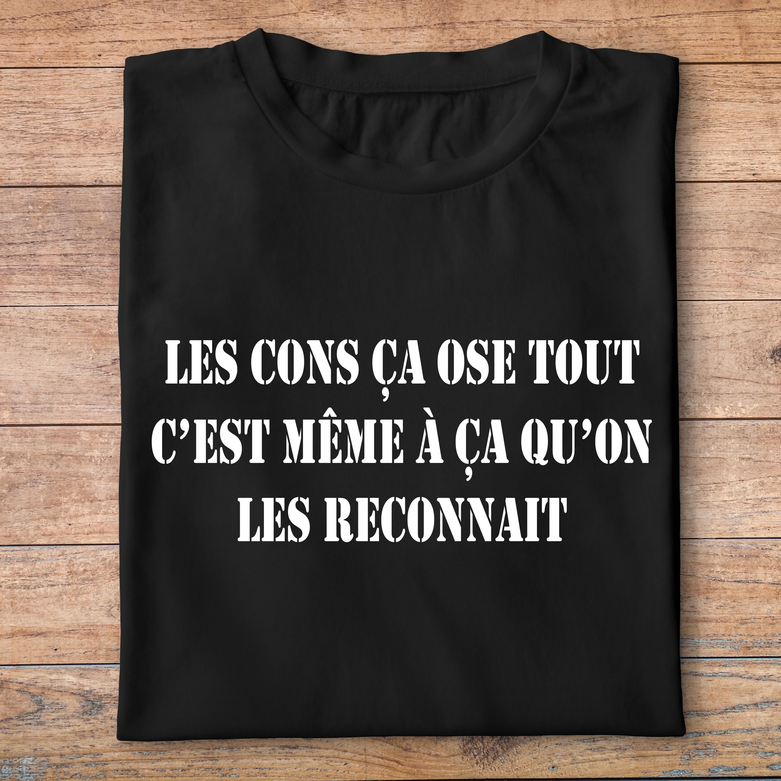 ffsltf3-T-shirt-Les-tontons-flingueurs-les-cons-ca-ose-tout-c-est-meme-a-ca-qu-on-les-reconnait-pn