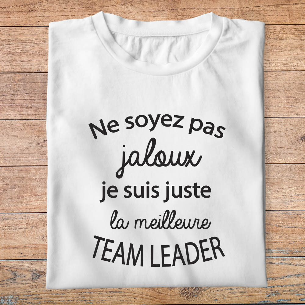 ftm20bis-t-shirt-Ne soyez pas jaloux-je-suis-la-meilleure-team-leader-tee-shirt-tshirt-métier-pb