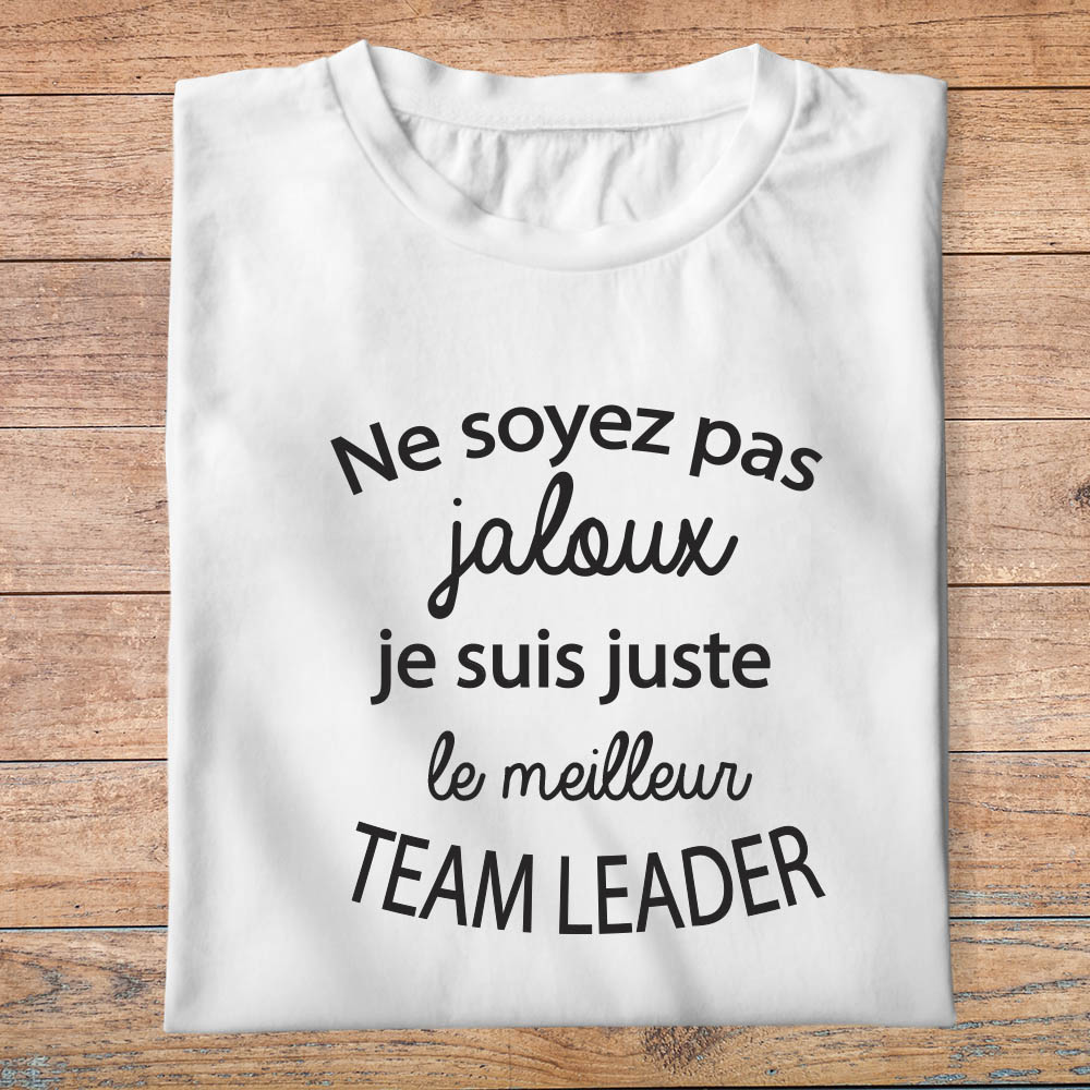 ftm20-t-shirt-Ne soyez pas jaloux-je-suis-le-meilleur-team-leader-tee-shirt-tshirt-métier-pb