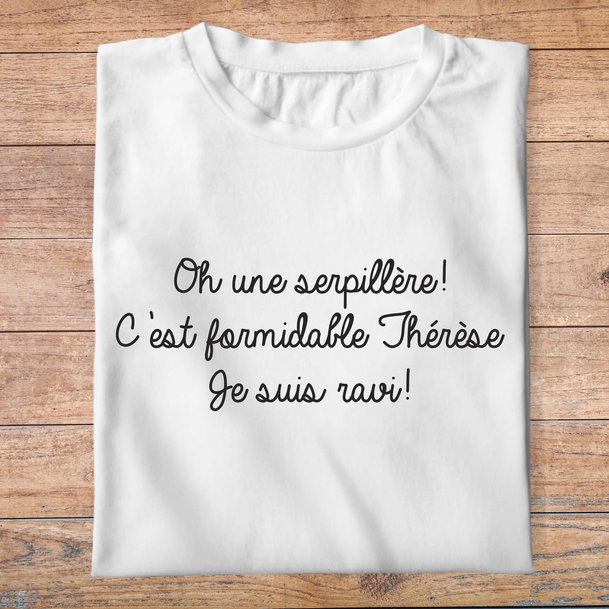 flpneuo5- Le père noël est une ordure -Oh une serpillère cest formidable Thérèse je suis ravi- t shirt plié homme - couleur blanc