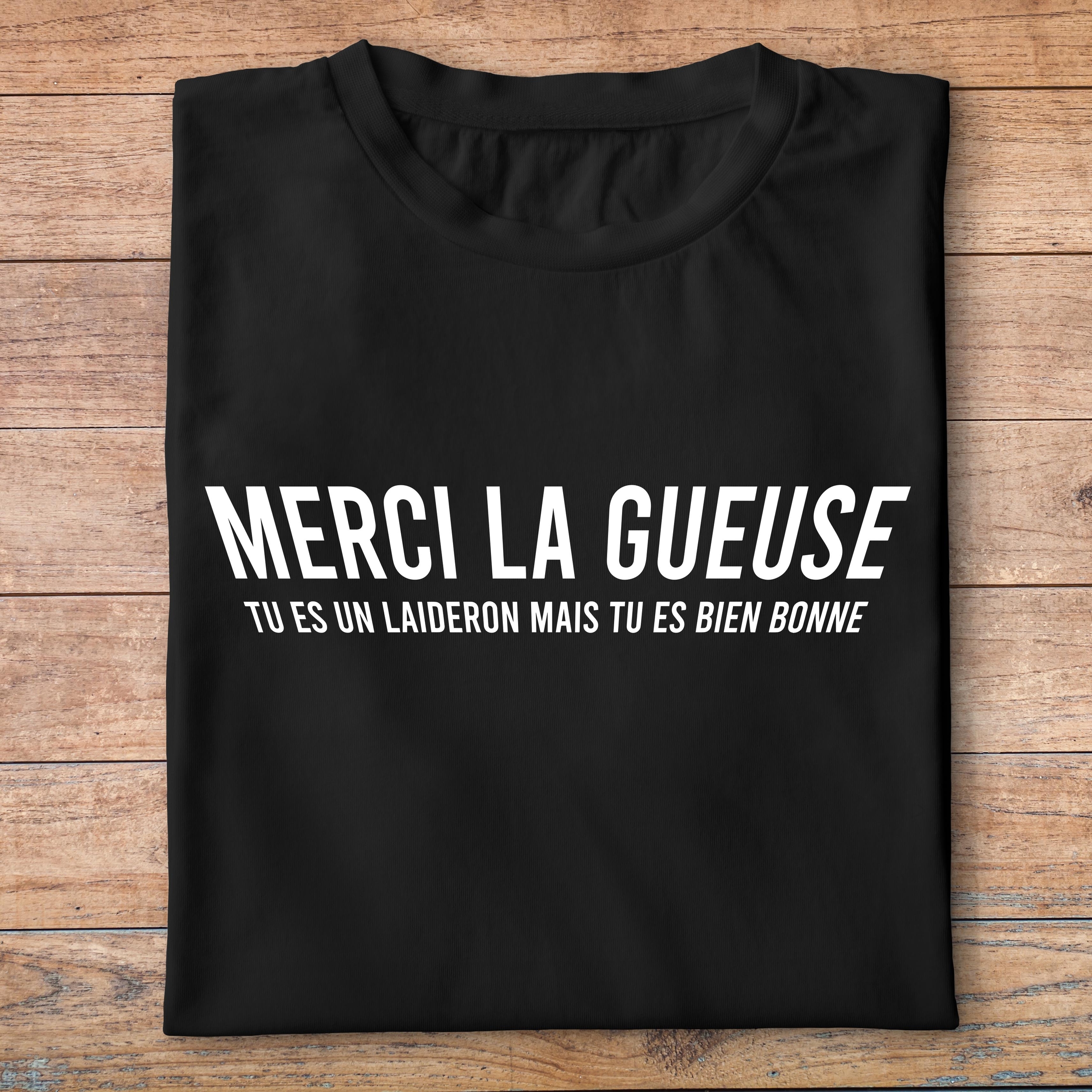flv2- Les Visieurs- Merci la gueuse tes un laidron mais tu es bien bonne - t shirt plié homme - couleur noir