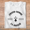 ftvrvb2-T-shirt-bretagne-humour-chaud-comme-la-breizh-t-shirt-homme-femme-blanc-noir-pb