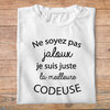 ftm7bis-Ne soyez pas jaloux-je-suis-la-meilleure-codeuse-pb