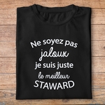 ftm25-métiers-ne-soyez-pas-jaloux-je-suis-juste-le-meilleur-steward-t shirt-plié-homme-couleur-noir