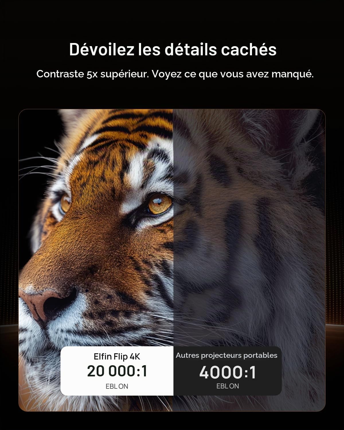 71mYpBYRs5L._AC_SL1500_