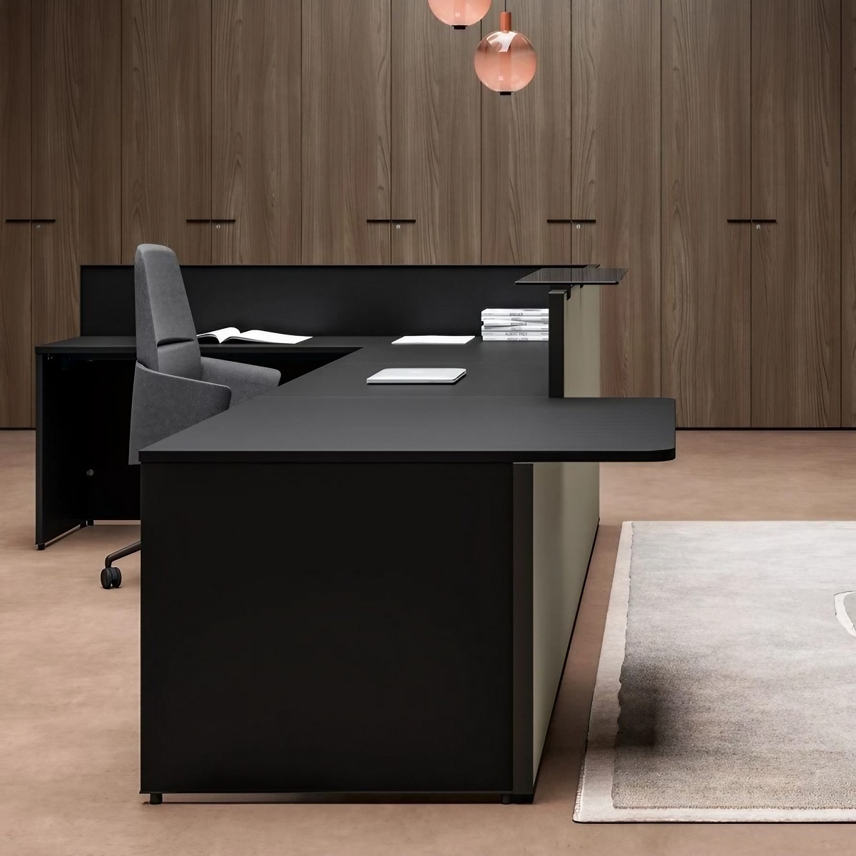 Comptoir_accueil_professionnel_pmr