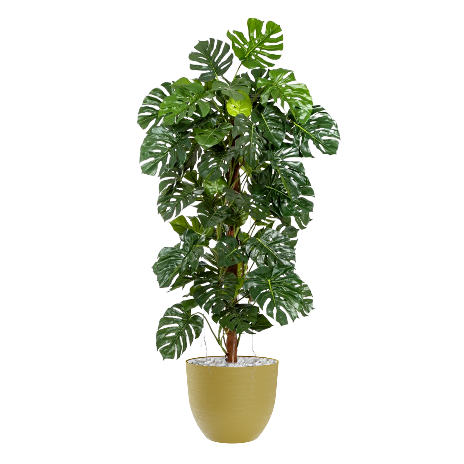 Monstera Artificielle Re-pots