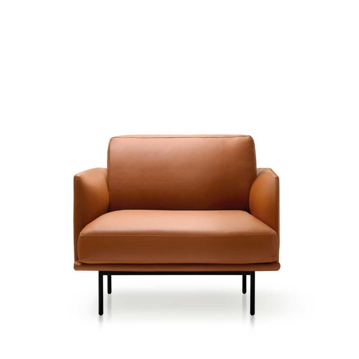 Fauteuil_cosy_plume_oie_accoudoirs