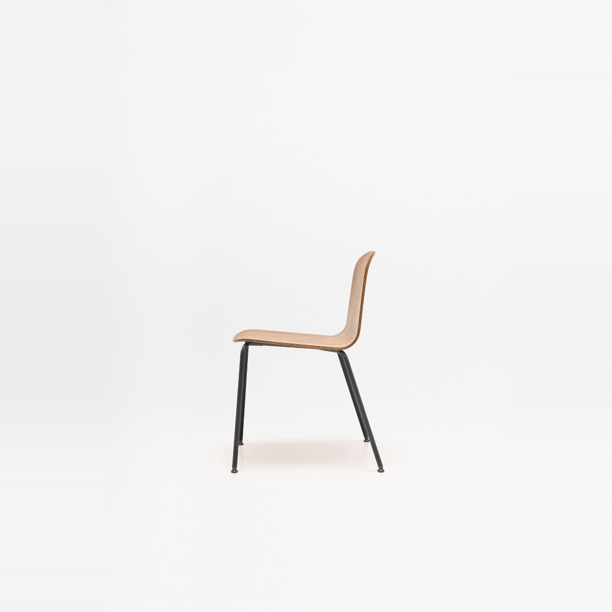 Chaise en contreplaqué Nud placage chêne sur 4 pieds métal noirs, vue de profil