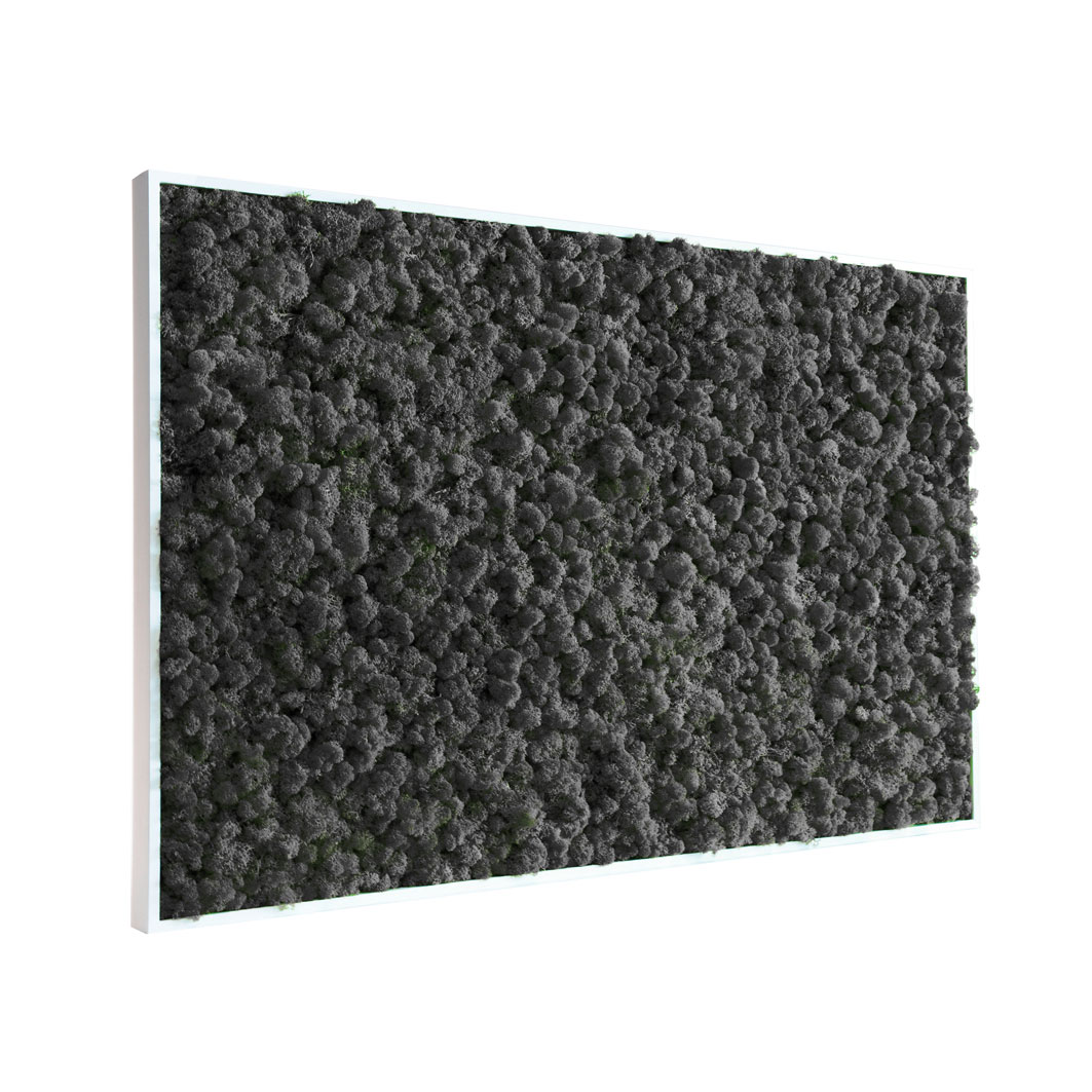 tableau-végétal-en-lichen-noir