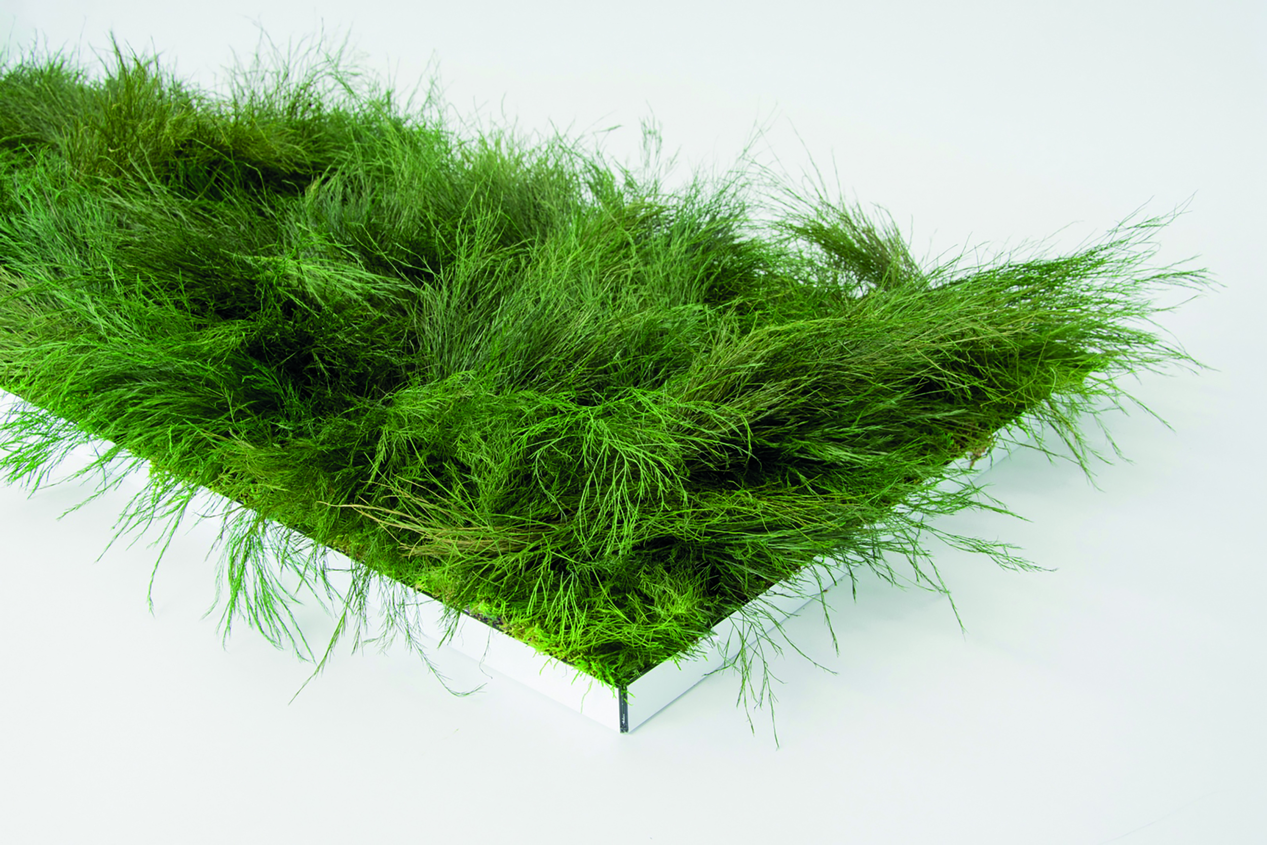 Tiki-grass