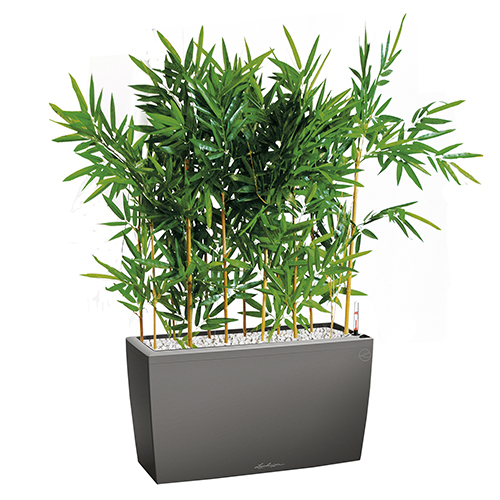 Bambou semi naturel pour bureau bac anthracite