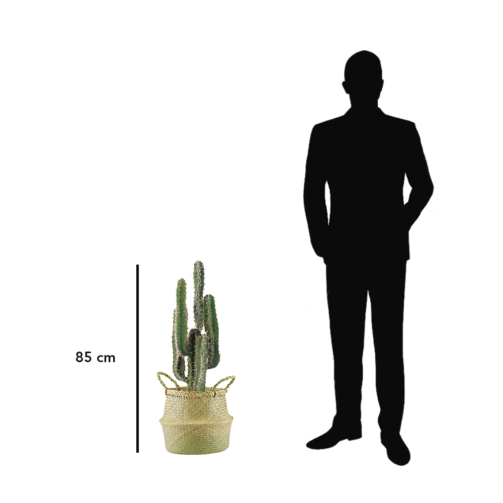 cactus-artificiel-pot-osier-85cm