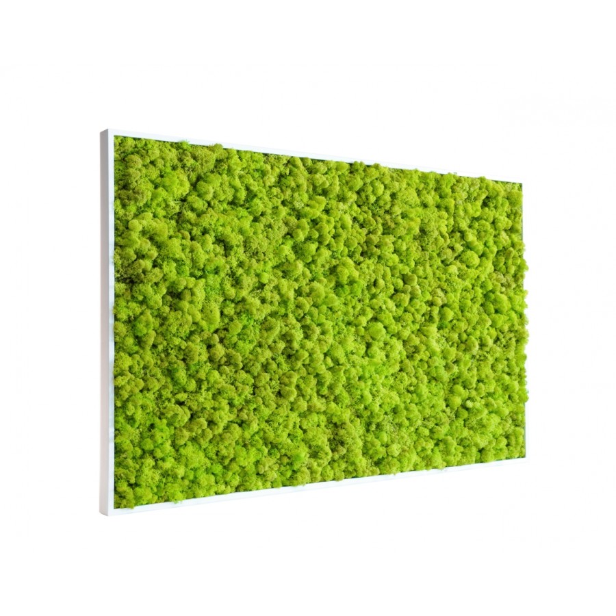 tableau-de-lichen-stabilise-vert-citron-maxi