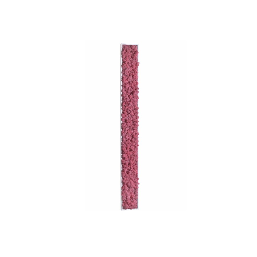 tableau-de-lichen-stabilise-rose-maxi-slim