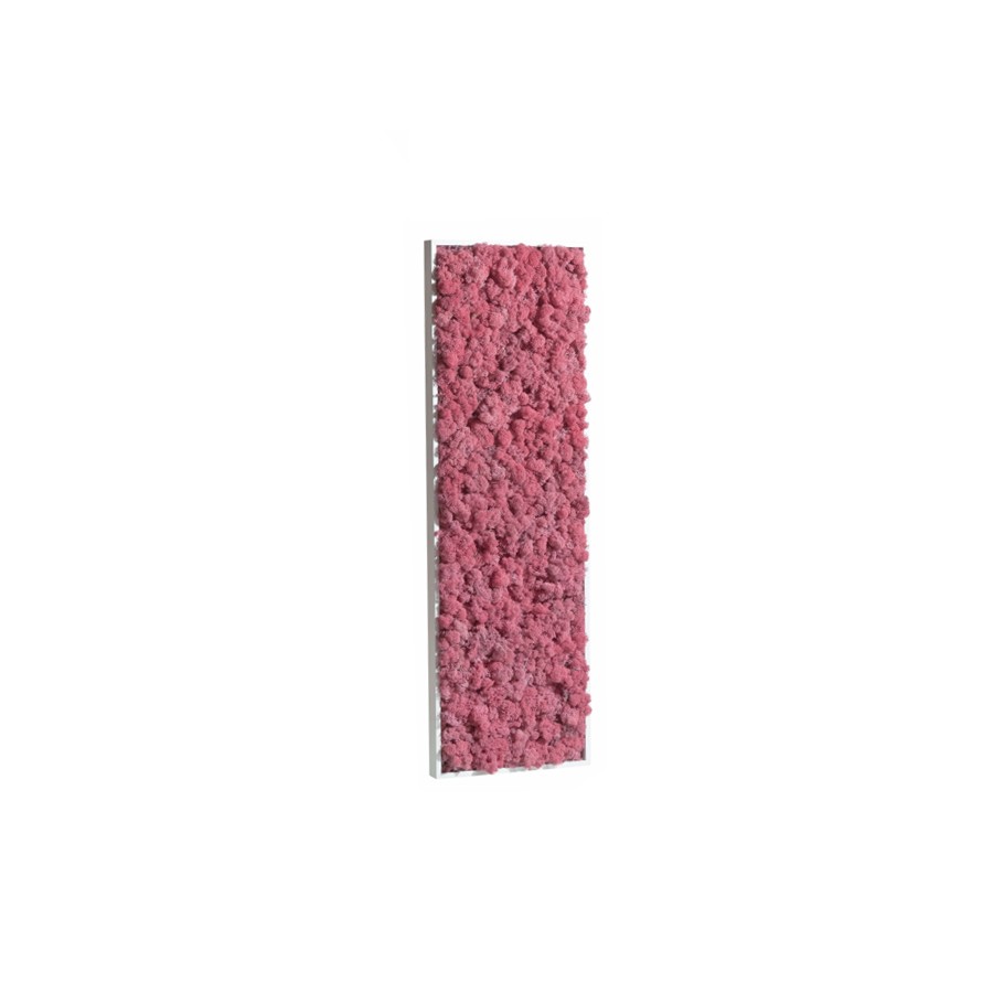 tableau-de-lichen-stabilise-rose-pale-demi-maxi