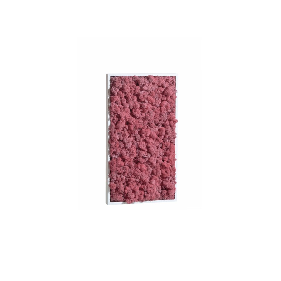 tableau-de-lichen-stabilise-rose-rectangle
