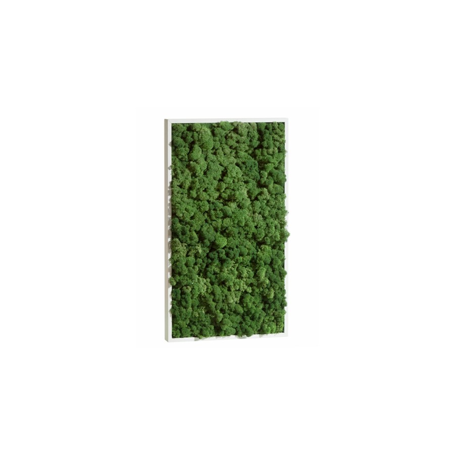 tableau-de-lichen-stabilise-vert-nature-rectangle