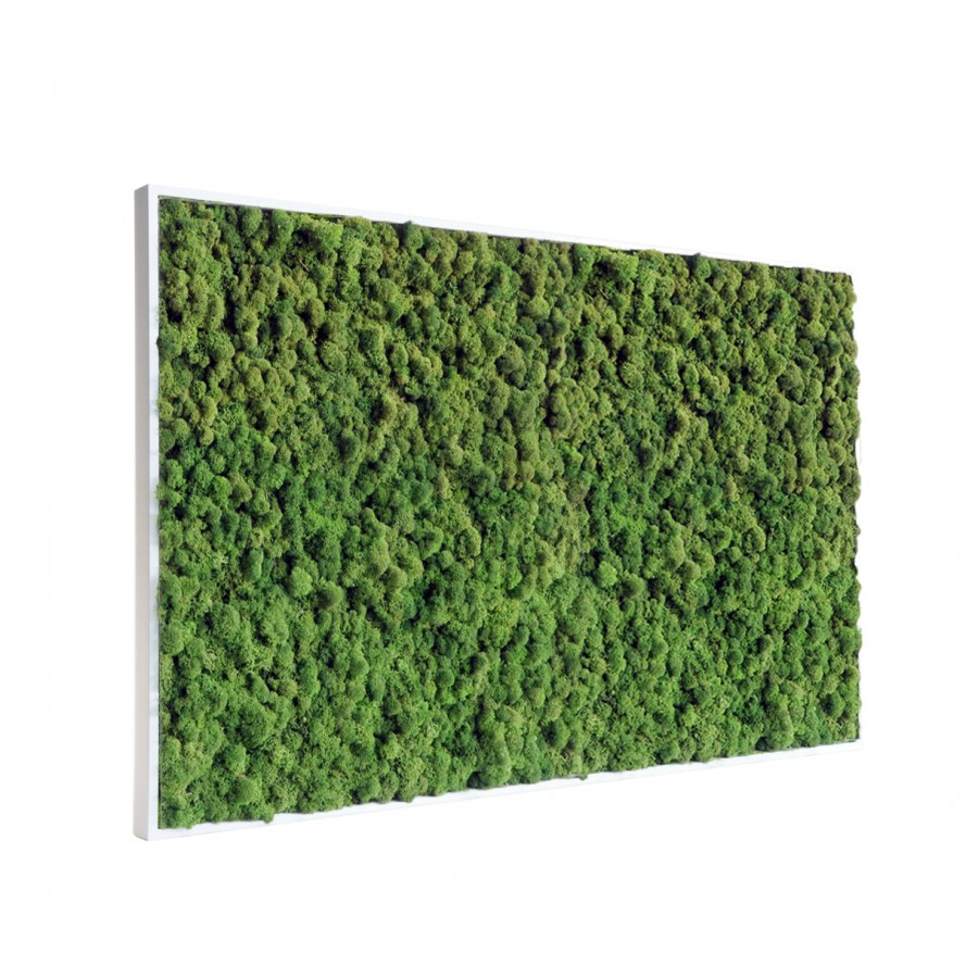 tableau-de-lichen-stabilise-vert-nature-maxi