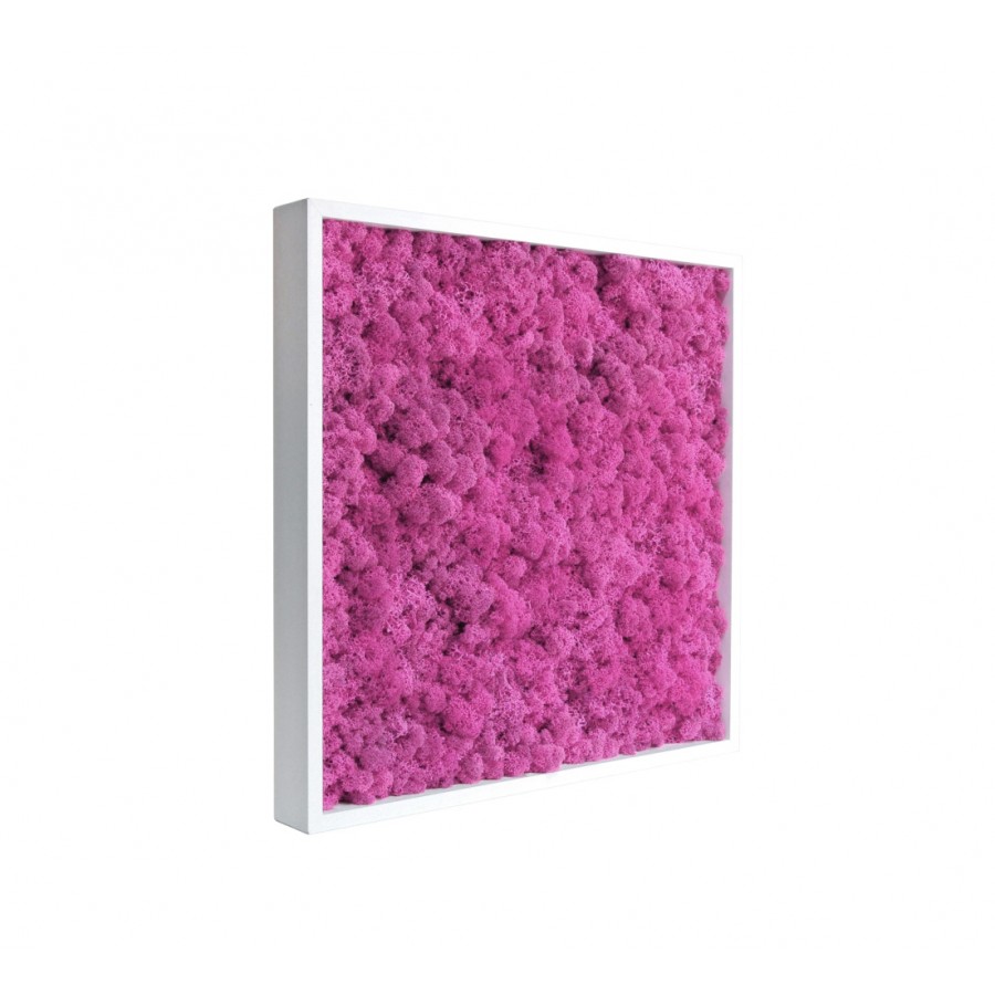 tableau-de-elec-lichen-rose-stabilise-40