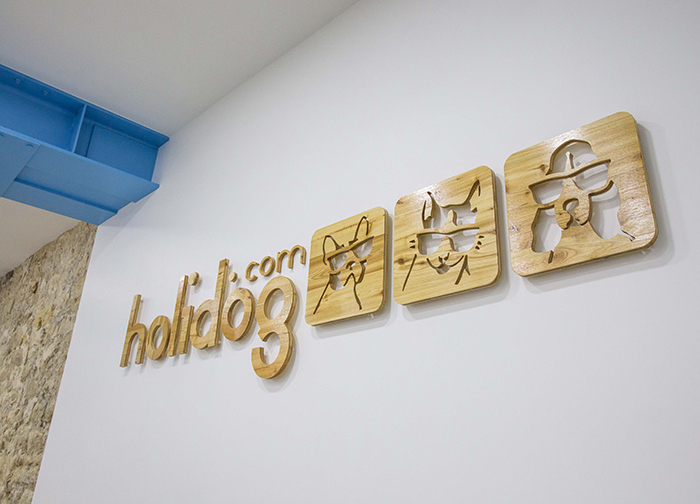 photo startup holidog 5