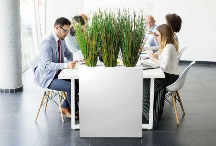 separateur vegetal pour bureau et open space