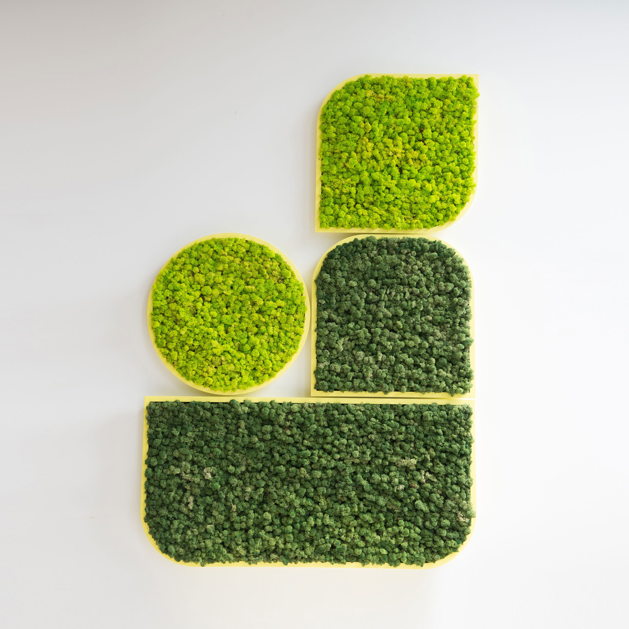 panneau acoustique vegetal buzzimood
