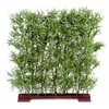 haie-de-bambou-oriental-semi-naturelle