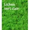 lichen vert clair