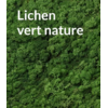 lichen vert nature