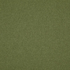 FN017