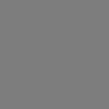 F5_Gris_souris