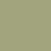 178_Avocat_mat_NCS_S3020-G60Y