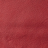 Cuir_SE05