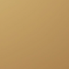 Camel_Lacquer