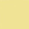 Jaune pâle RAL 0959040