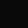 Noir RAL 9005