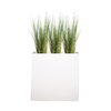 ROMA-BAMBOU-NEW-BLANC copie